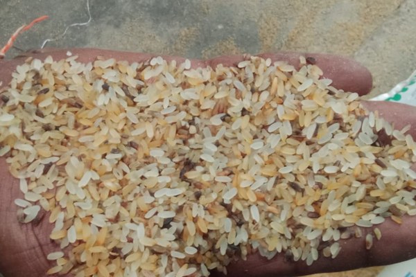 Parboiled Broken Rice